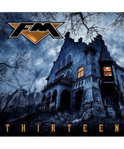 FM Thirteen Vinyl Record $9.60 Vinyl