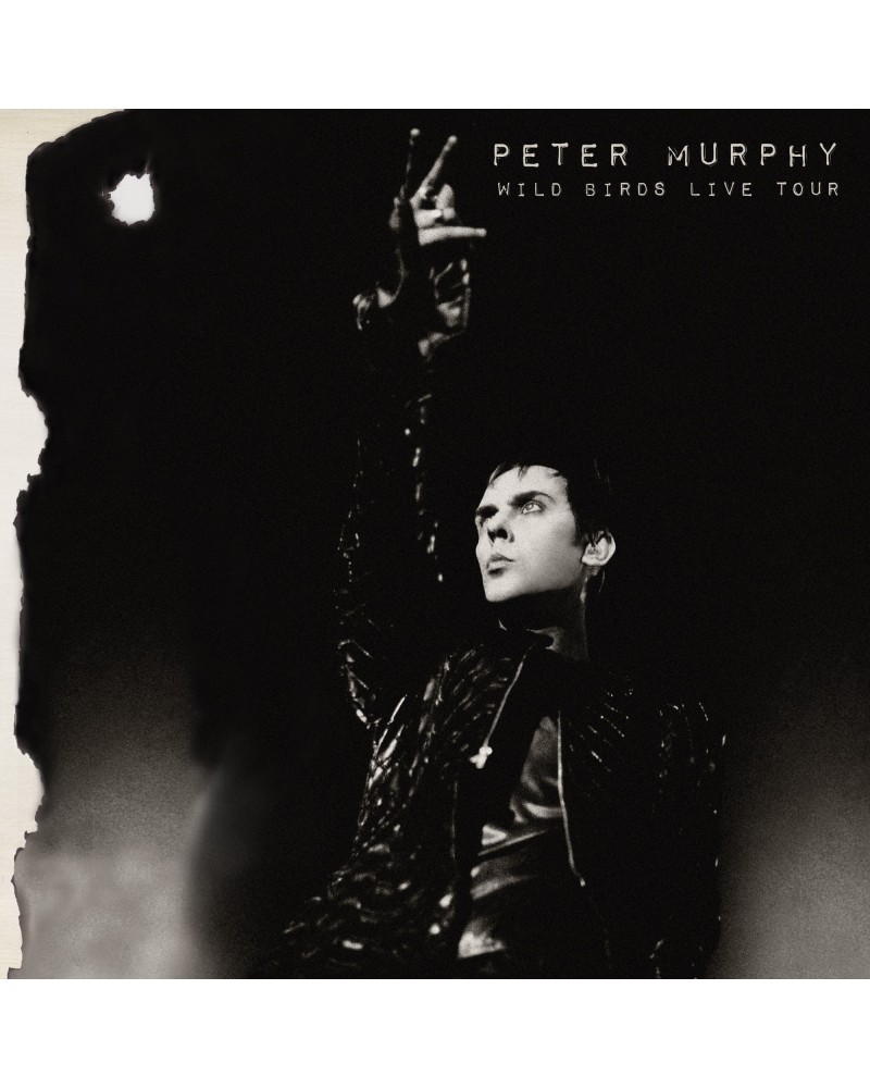 Peter Murphy Wild Birds Live Tour (Purple & Black) Vinyl Record $18.90 Vinyl