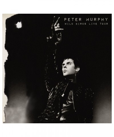 Peter Murphy Wild Birds Live Tour (Purple & Black) Vinyl Record $18.90 Vinyl